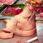Photo Jolts! How is this Pig’s Head a Metaphor for Envy?
